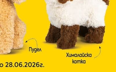 Хималайска komka