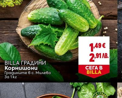 BILLA ГРАДИНИ Корнишони