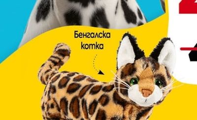 Далматинец