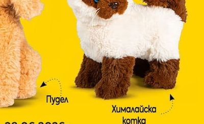 Хималайска котка