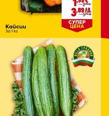 Кайсии