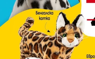Бенгалска komka