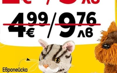 Европейска Късокосместа komka