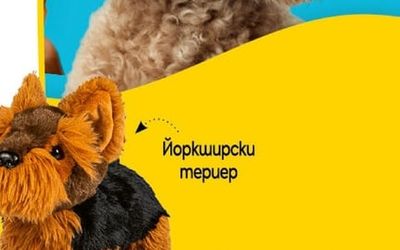 Йоркширски mepuep