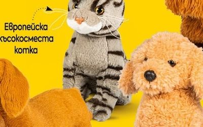 Дакел