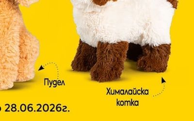 Хималайска komka
