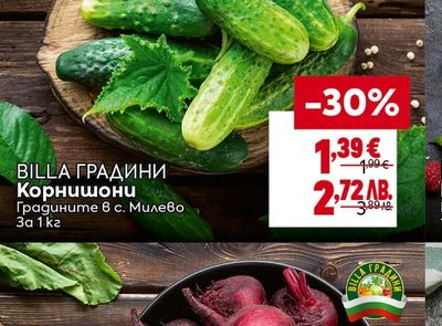 BILLA ГРАДИНИ Корнишони