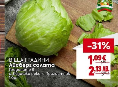 BILLA ГРАДИНИ Айсберг салата