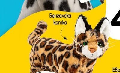 Бенгалска komka