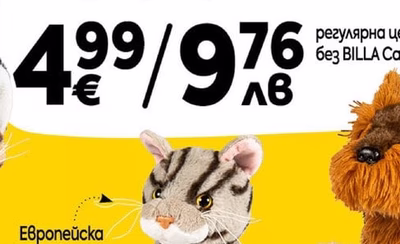 Европейска късокосместа komka