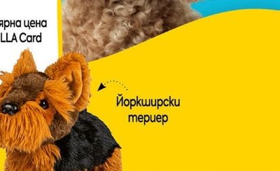 Йоркширски mepuep