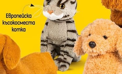 Дакел