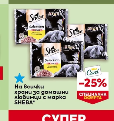 BILLA домакинcku гъби с или без канал
