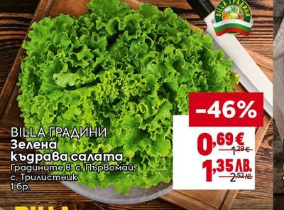BILLA ГРАДИНИ Зелена къдрава салата