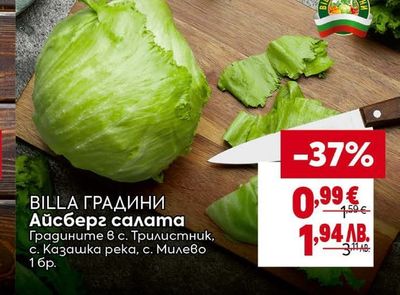 BILLA ГРАДИНИ Айсберг салата