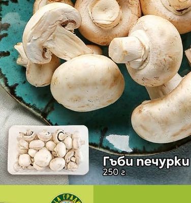 Гъби печурки