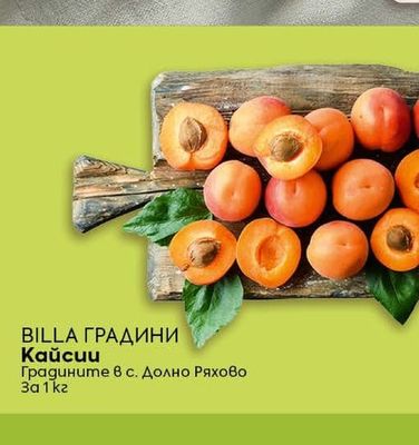 BILLA ГРАДИНИ Кайсии