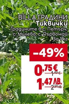 BILLA ГРАДИНИ Тиквички