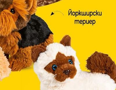 Пудел