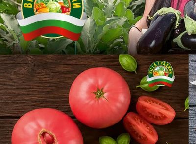 BILLA ГРАДИНИ Патладжани