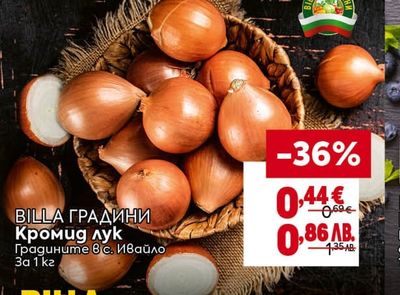 BILLA ГРАДИНИ Кромид лук