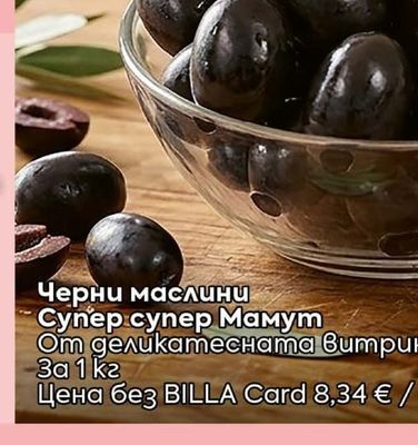 НАШЕНЦИ Филе Елена