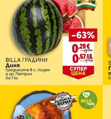 BILLA ГРАДИНИ Диня