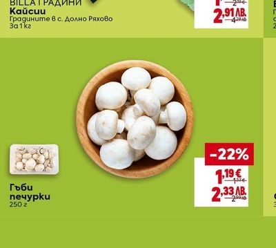 BILLA ГРАДИНИ Кайсии