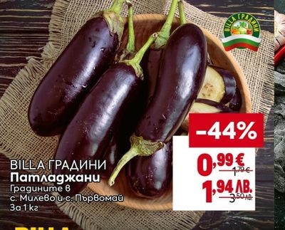 BILLA ГРАДИНИ Патладжани
