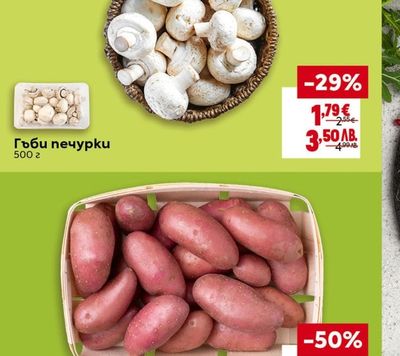 Гъби печурки