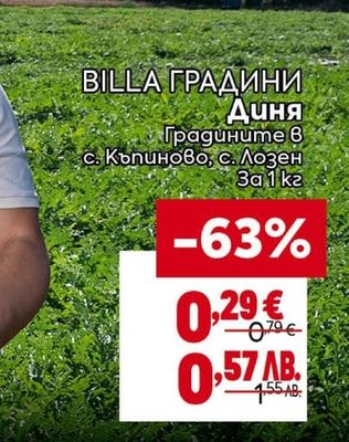 BILLA ГРАДИНИ Диня
