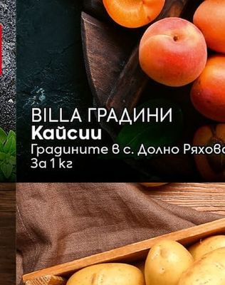 BILLA ГРАДИНИ Домати селски