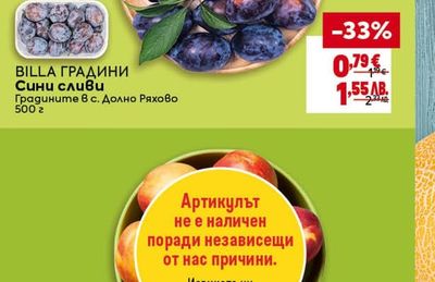 BILLA ГРАДИНИ Сини сливи