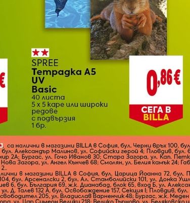 SPREE Темпажка А5 UV Basic