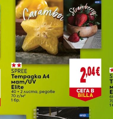SPREE Тетрадка А4 мат/UV Elite