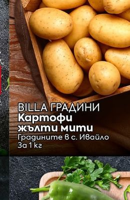 BILLA ГРАДИНИ Домати розови Ръгби
