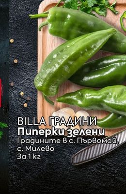 BILLA ГРАДИНИ Патладжани графит