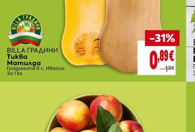 BILLA ГРАДИНИ Тиква Матилда
