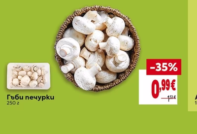 Гъби печурки