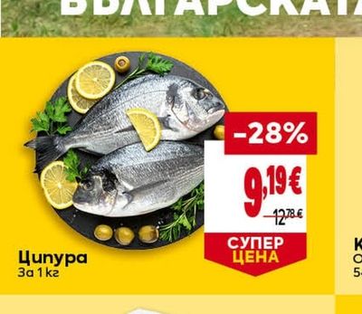 Ципура