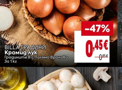 BILLA ГРАДИНИ Кромид лук