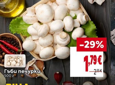 Гъби печурки