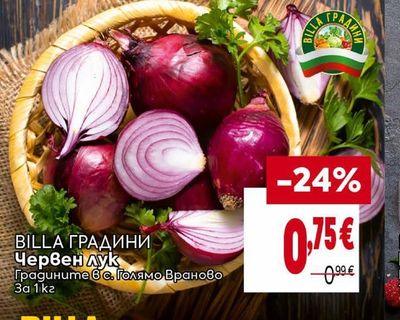 BILLA ГРАДИНИ Червен лук
