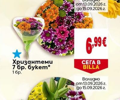 Хризантеми
