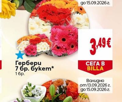Гербери