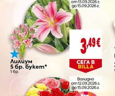 Лилиум