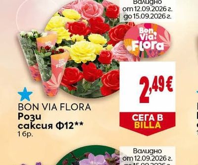 BON VIA FLORA Рози