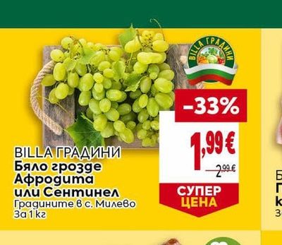 BILLA ГРАДИНИ Бяло грозде Афродита или Сентинел