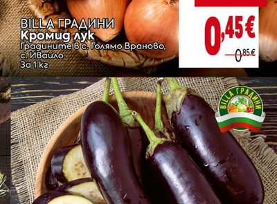BILLA ГРАДИНИ Кромид лук