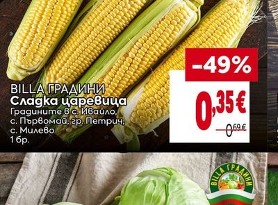 BILLA ГРАДИНИ Сладка царевица